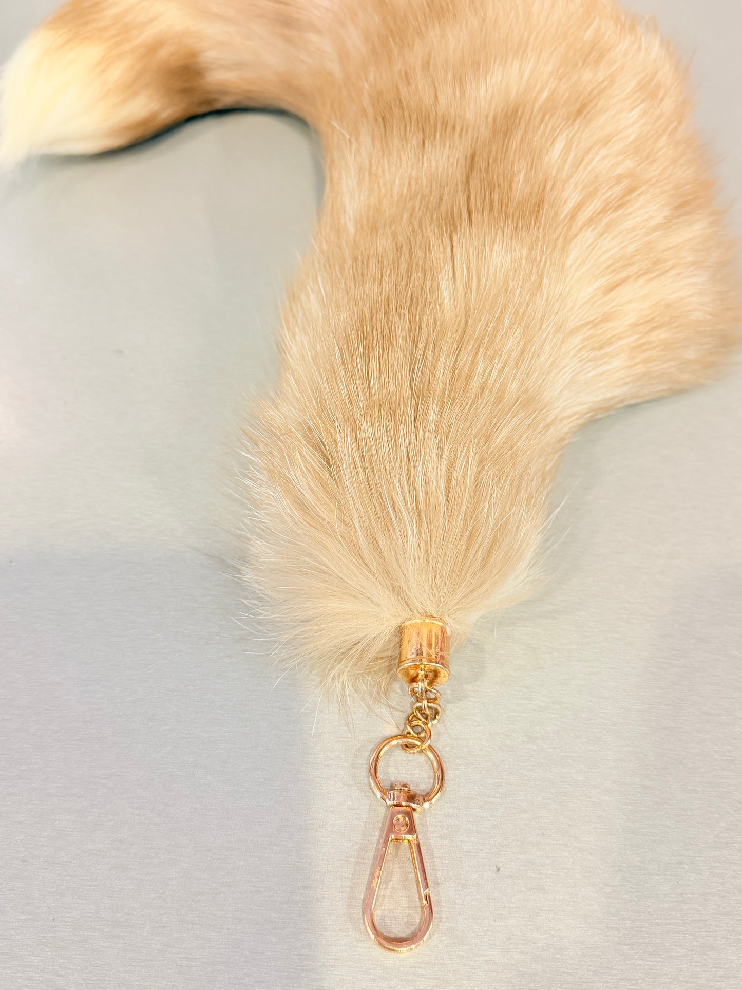 Champagne Dreams Fox Tail