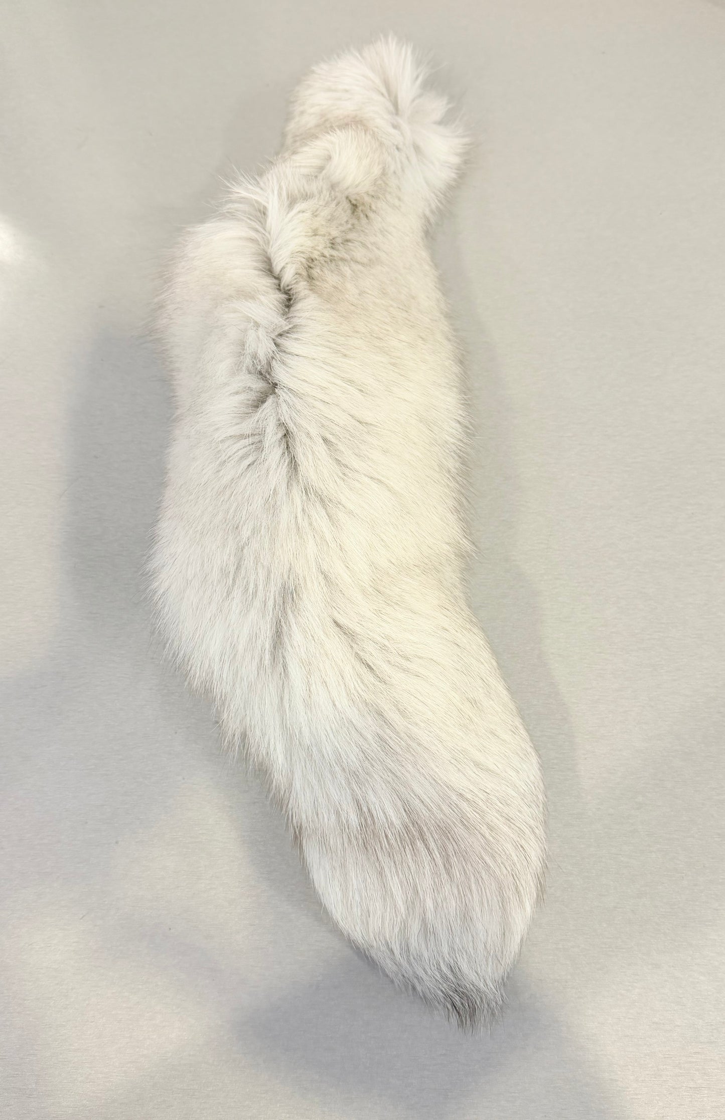 Winter White Fox Tail