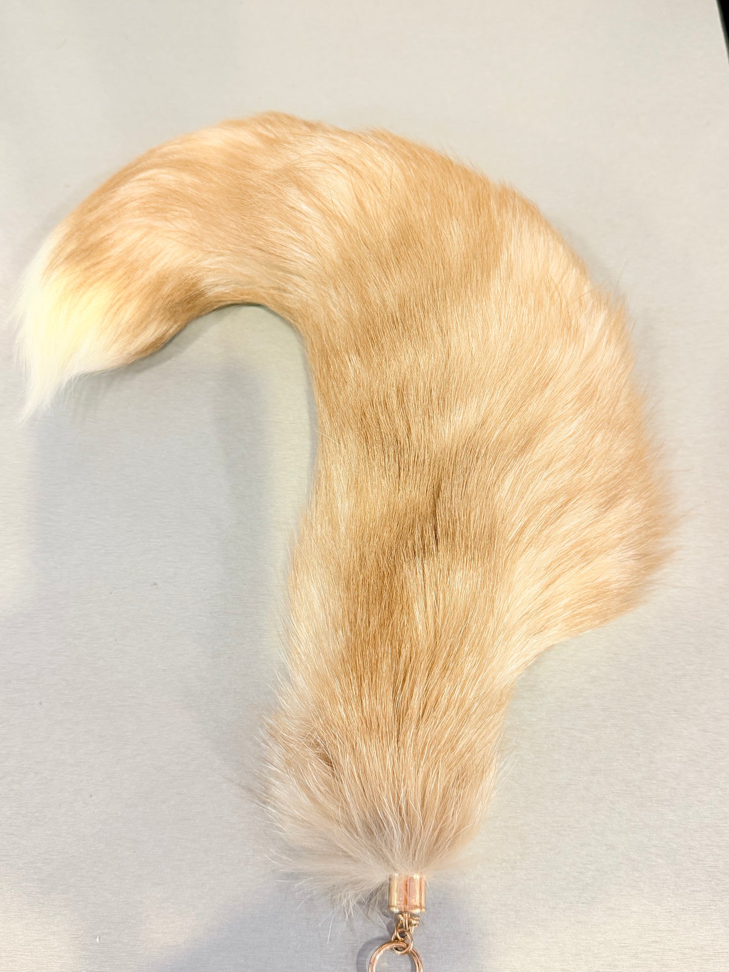 Champagne Dreams Fox Tail